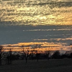 Meet your Posher, Deanna